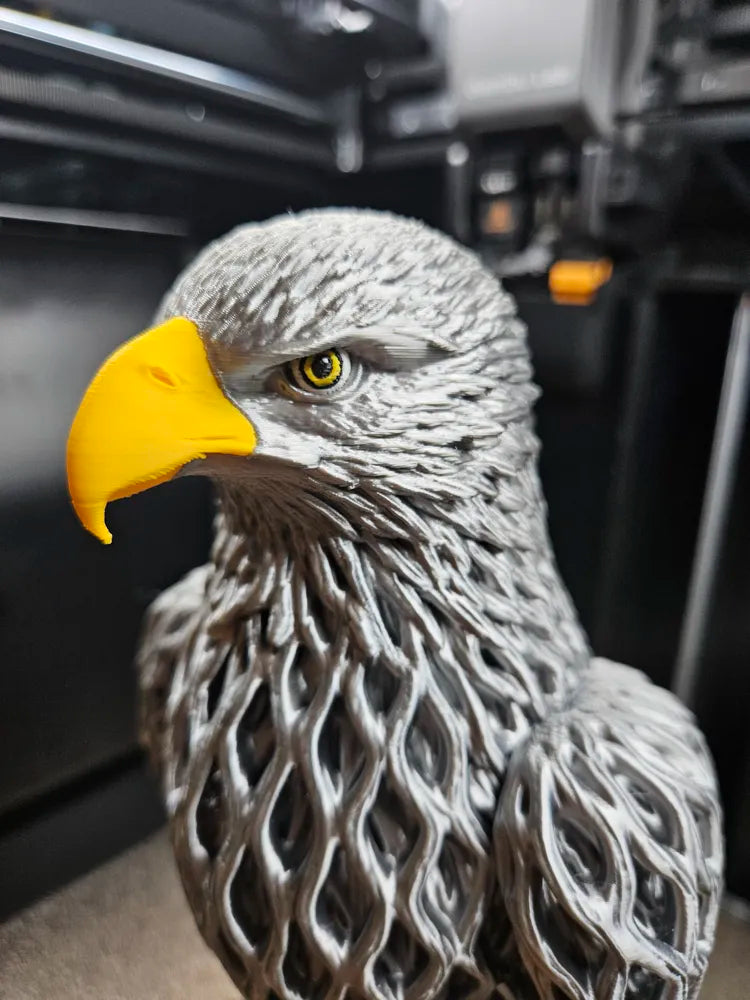 Rootwoven Eagle