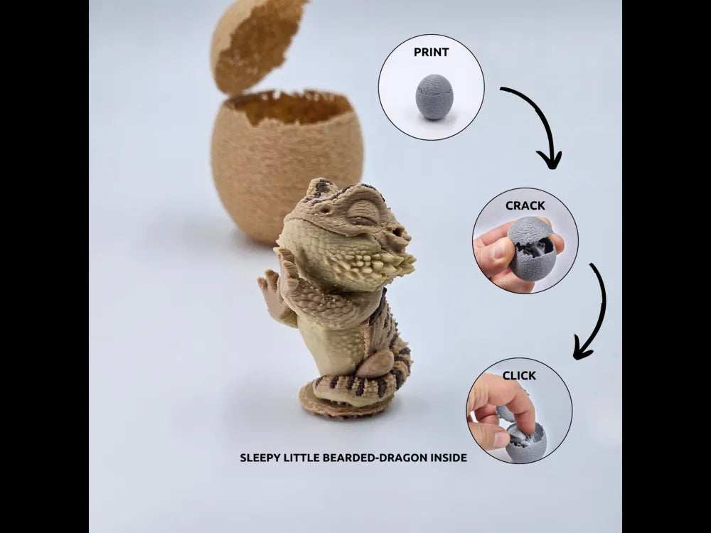Animal - Egg - Bearded Dragon