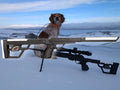 CZ 457 chassie/rifle stock, Patronus Betulom