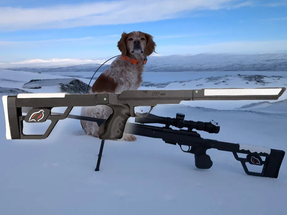 CZ 457 chassie/rifle stock, Patronus Betulom