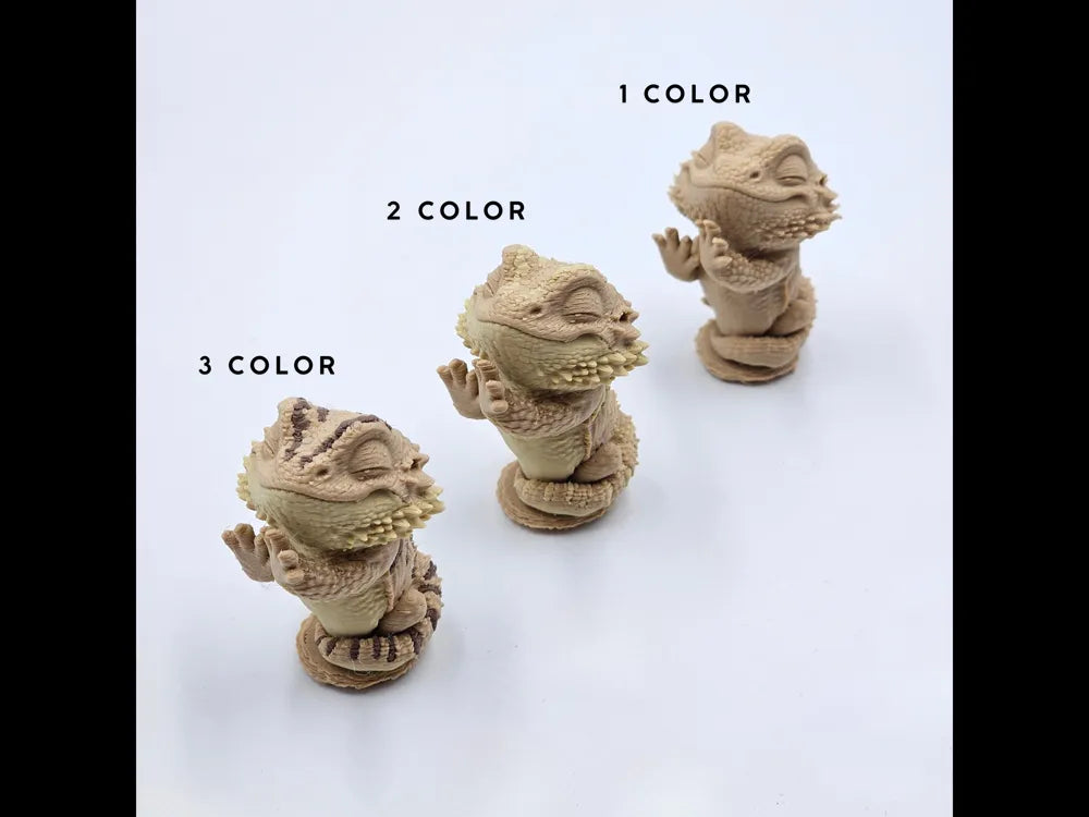 Animal - Egg - Bearded Dragon