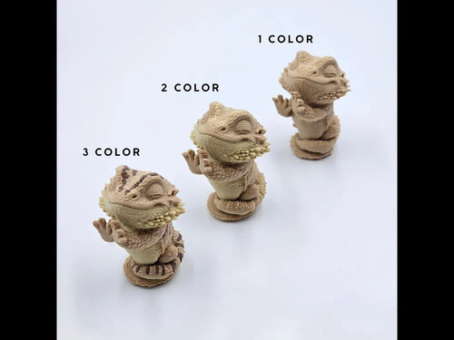 Animal - Egg - Bearded Dragon