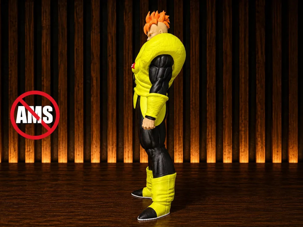 Android 16 (NO AMS)