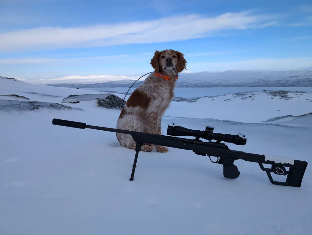 CZ 457 chassie/rifle stock, Patronus Betulom