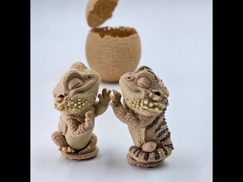 Animal - Egg - Bearded Dragon